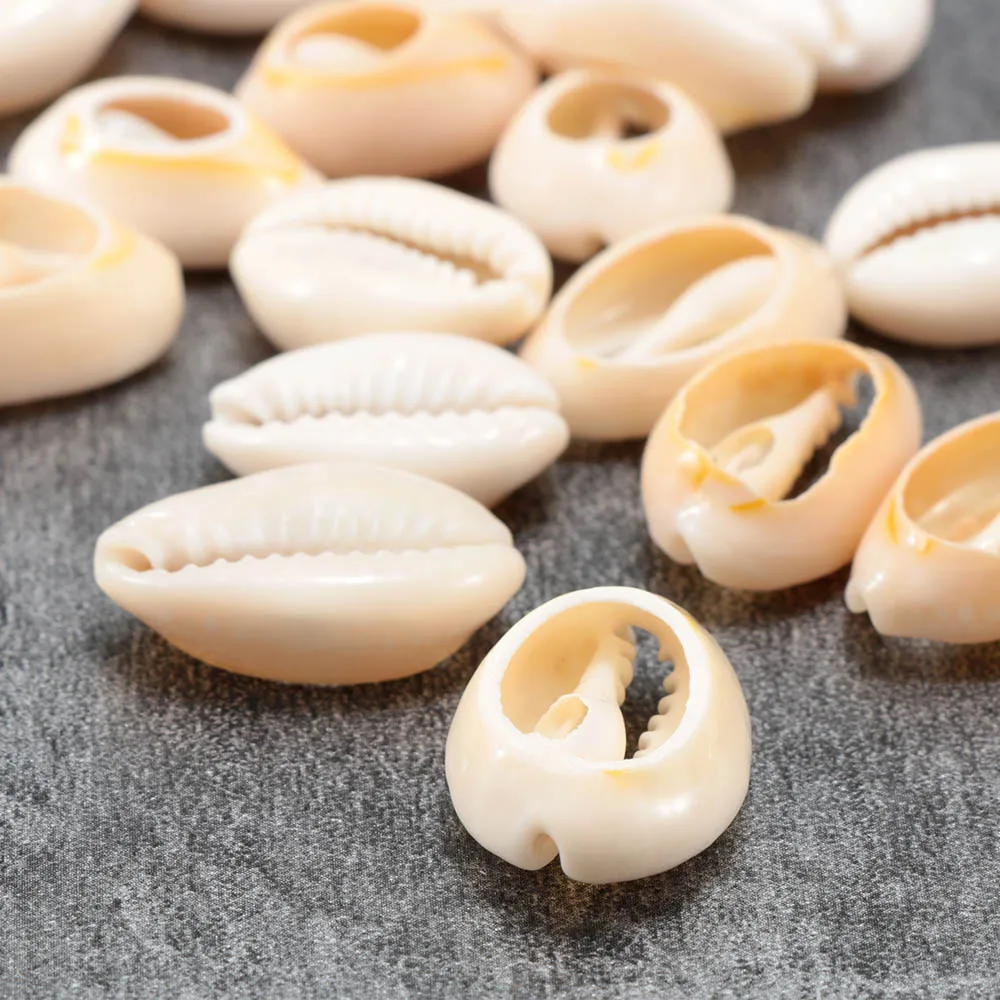 50pcs/bag Shell model Creamy White Natural Sea Loose Beads Accessories for Fish Tank Home Decoration Craft unique