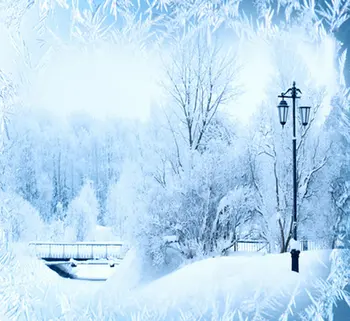

Winter White Snow Trees backdrop Vinyl cloth High quality Computer printed christmas Backgrounds
