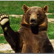 Брутальность дверных ковриков медведя покрытие не-коврик для автомобиля моющийся открытый Крытый Ванная комната Кухонный декоративный коврик Добро пожаловать коврик на порог