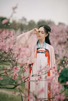 

2020 Popular New Hanfu Women's Chest-length Traditional Daily Embroidery Suit of Hanfu Cosplay Party Game Dress Gift Hot