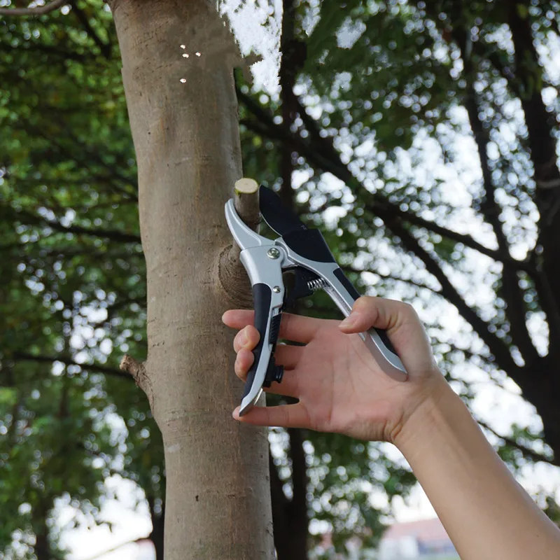 Профессиональные садовые ножницы для обрезки фруктовых деревьев|scissors for garden|trees