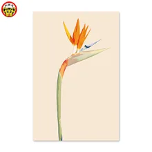 Цифровая картина маслом райская птица цветок стрелитция королевская aiton