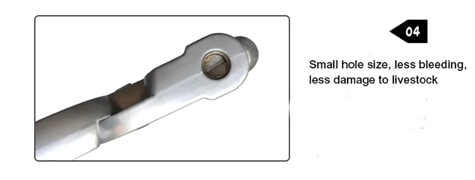 ear lacking pliers_5