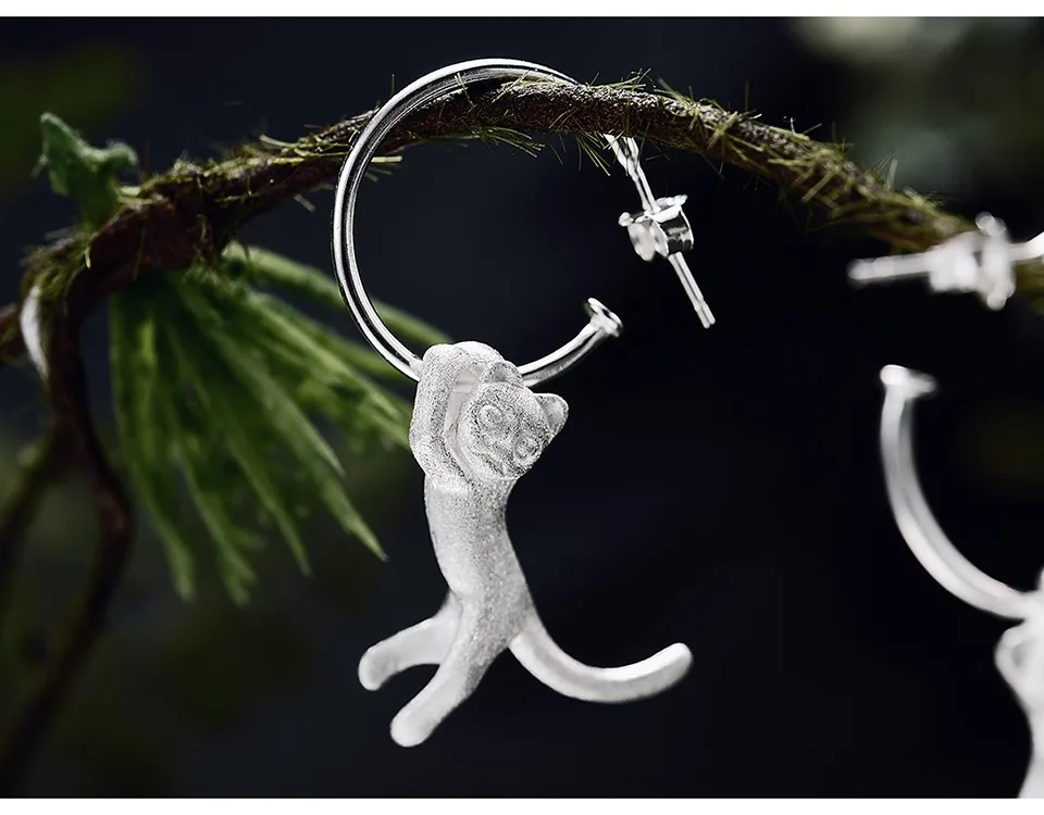LFJB0072-Cute-Kung-Fu-Cat_11