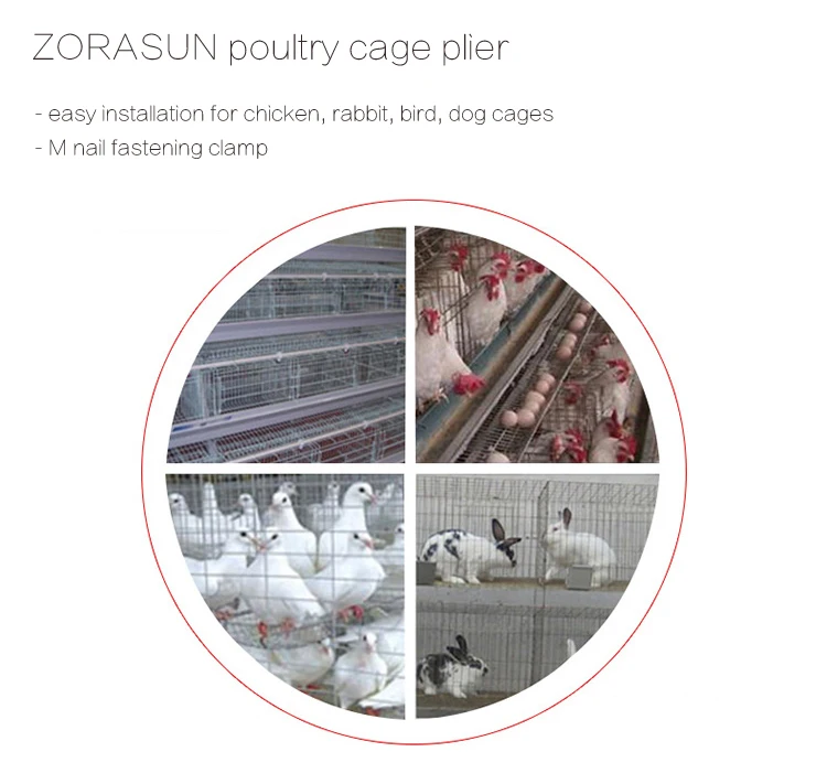 poultry-cage-clamp-752