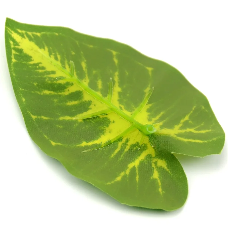 HTB1wsH7XAOWBuNjSsppq6xPgpXab