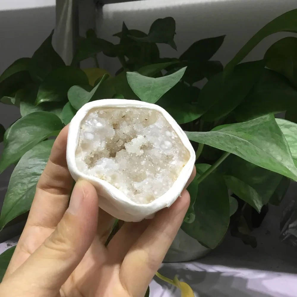 QQ20180929102156