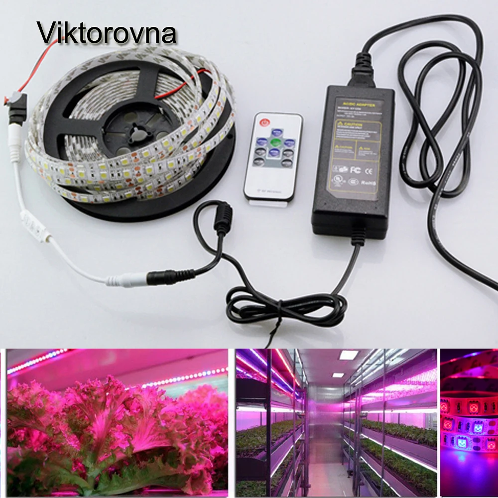 Spectrum king led coupon code