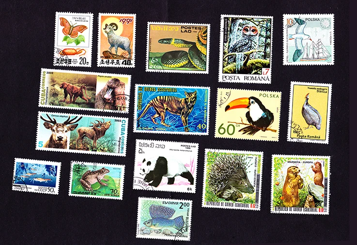 O1CN01KPDTc721ZaYMArD3b_!!136196999