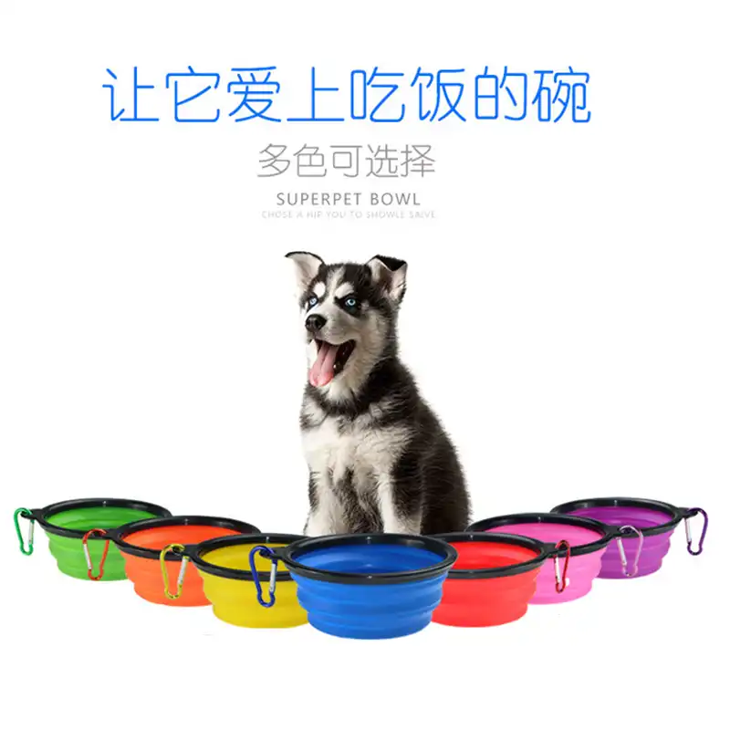 large collapsible dog bowl