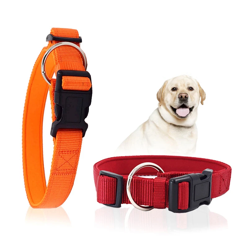 o ring dog collar