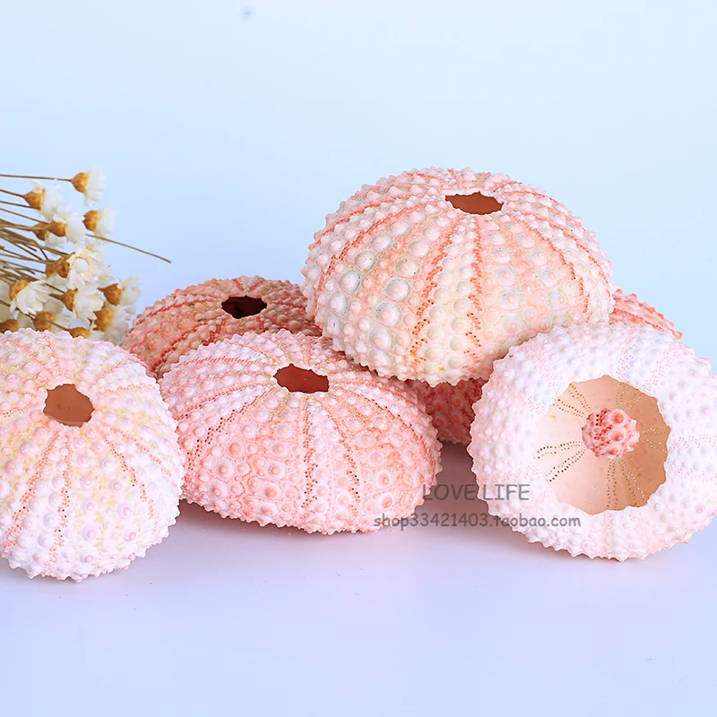 

Aqumotic small Pink sea urchin 1pc Natural Shell flower Box Home Mediterranean Decoration Tool Gifts Exquisite Hand Mosaic