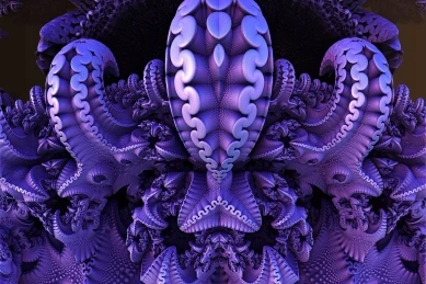 305