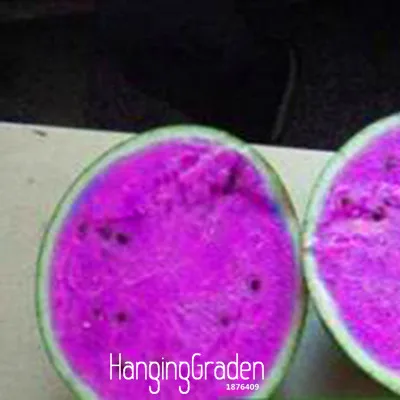 Лидер продаж! 50 шт./упак. редкий фиолетовый мякоть арбуза Семена бонсай супер большой арбуз растений для дома и сада,# Z9X8NW