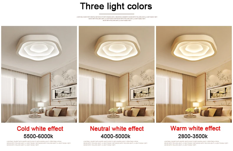 Ceiling lamp (8)