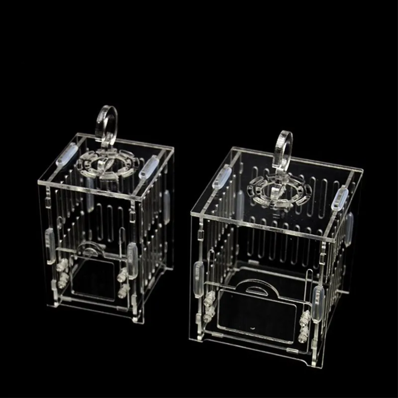 Cockroach cage (2)