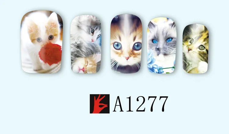 A1277