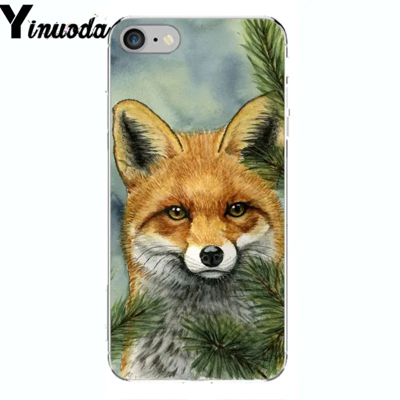 A Fox in The Wild Red Fox 