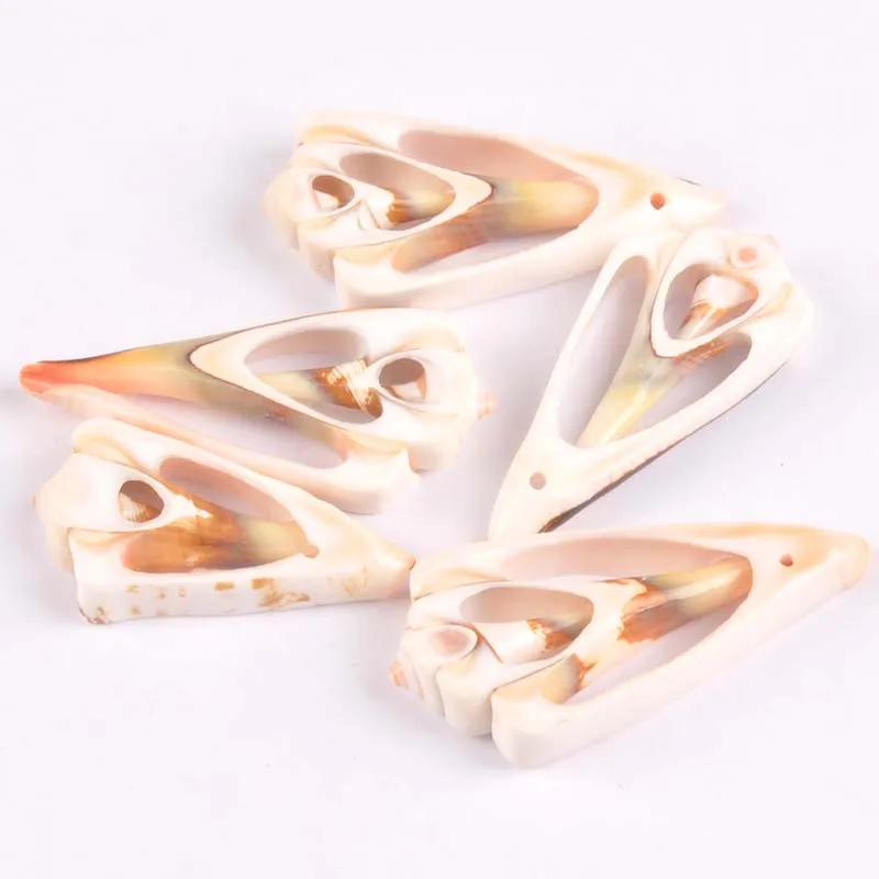 

20-50mm Natural trilateral pattern Shell for DIY handmade pendant SeaShells Home decoration 5pcs TR0132