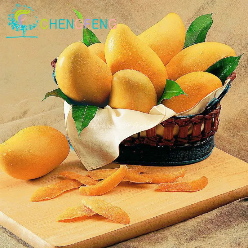 Free Shipping 1 Pcs/bag Miracle Fruit Seeds Giant Mango Bonsai Seed