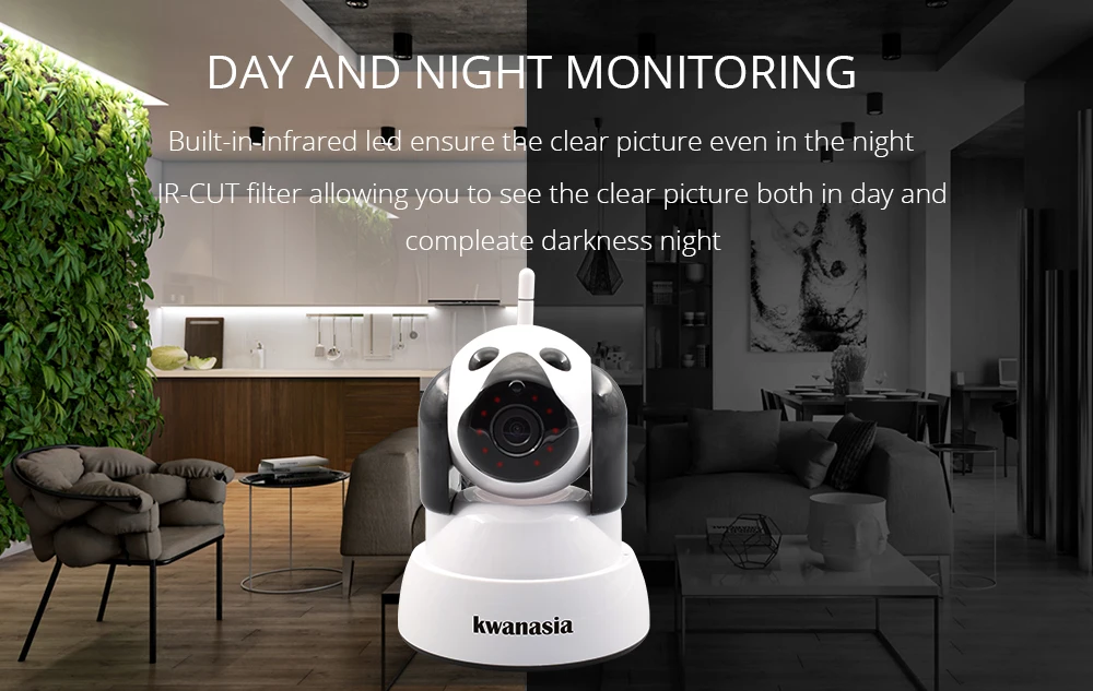 Wireless IP Camera 