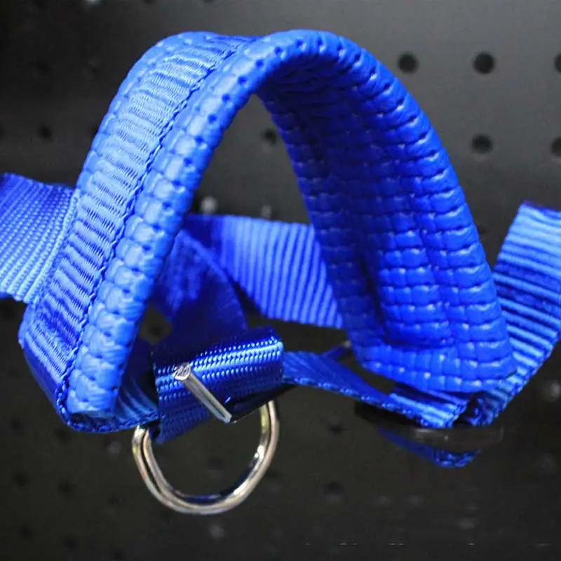 muzzle
