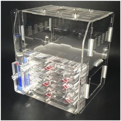 Толстые муравьи гнездо виллы мастерская муравей акриловые фермы муравьи замок насекомых клетки студентов научное устройство игрушка обучающая DIY игрушка M1H - Цвет: clear