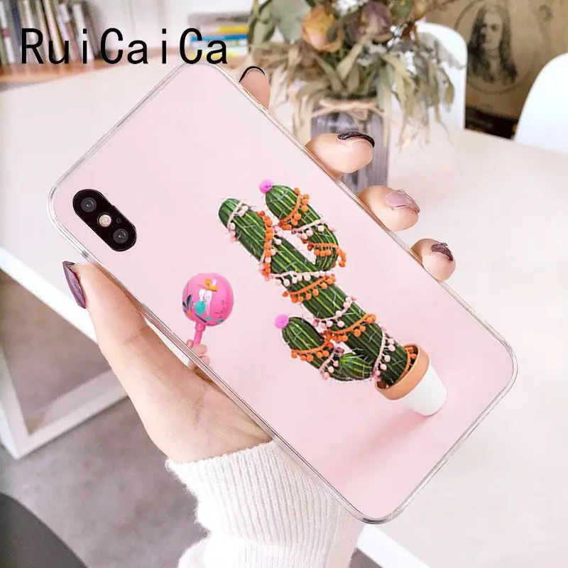 Candy Color Art Cactus Plant