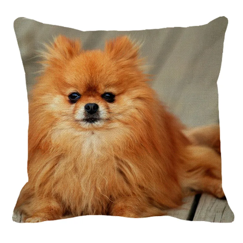 

XUNYU 45cmx45m Animal Dog Pomeranian New Linen Comfortable Cushion Cover Living Room Sofa Decorative Pillow Cover YH011