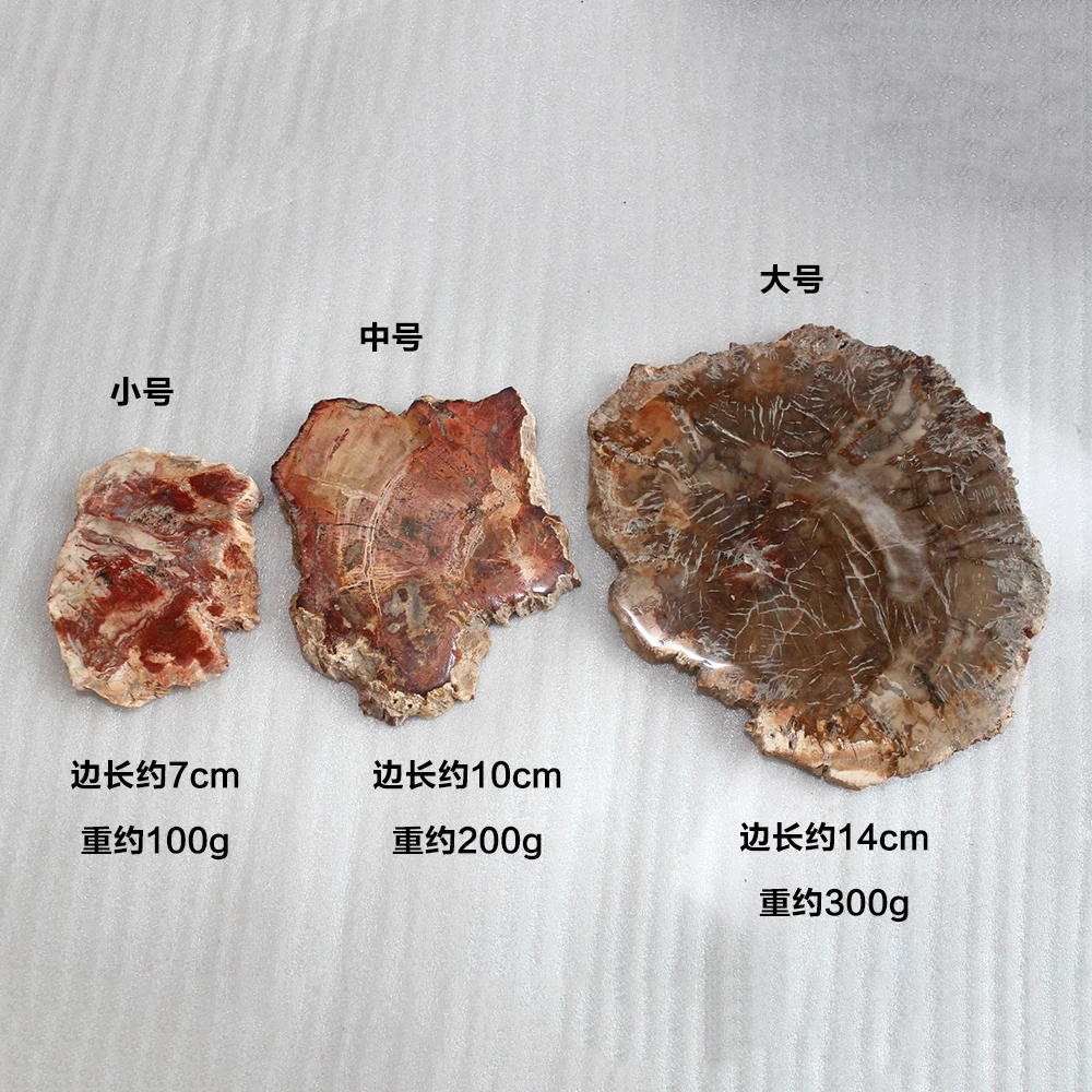 Натуральные камни и минералы, кристалл, каменный камень, окаменелое дерево для подстаканника, украшение дома, деревянное дерево, окаменелый Мадагаскар, подушка для чашки