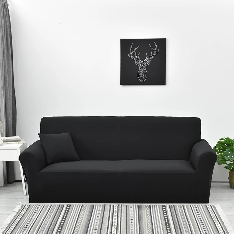 cat scratch proof sofa