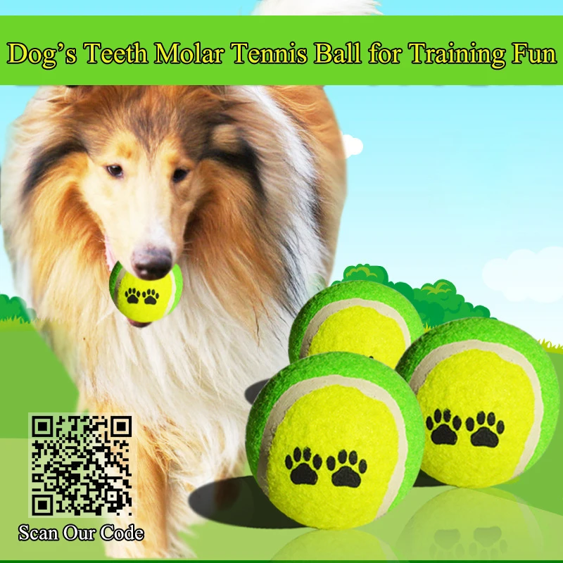 

Dog's Teeth Molar - Rubber Tennis Ball, dog toys Pet toy for training dog, Cat Dog training ball toy for fun, for teeth training