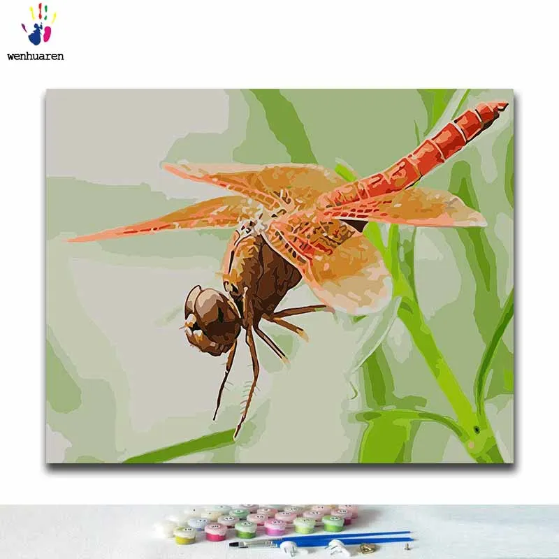

DIY Coloring paint by numbers dragonfly paintings by numbers with kits 40x50 framed