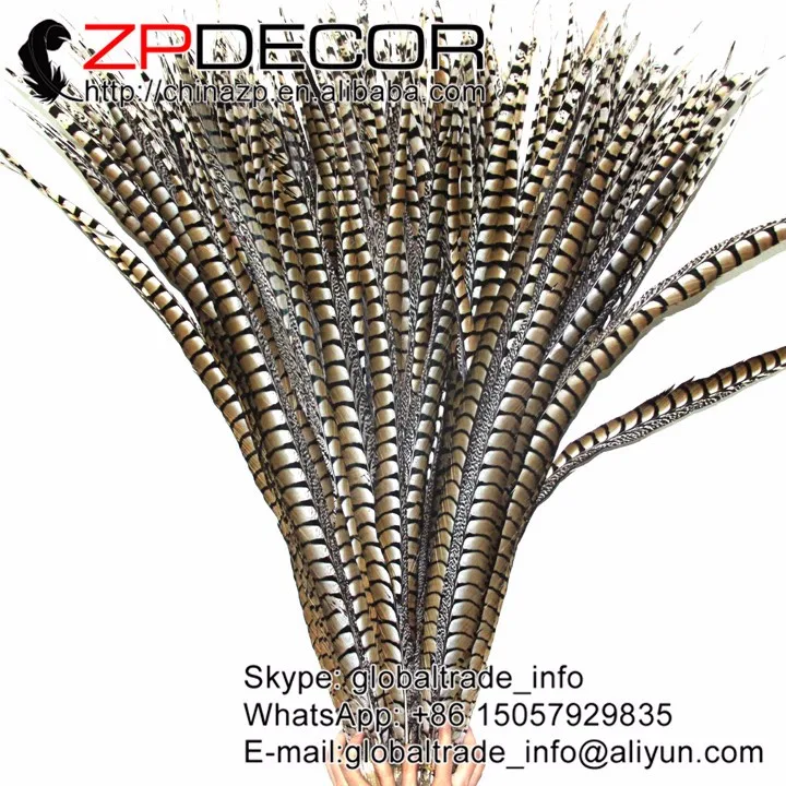 80-90cm natural lady amherst pheasant feathers  (97)