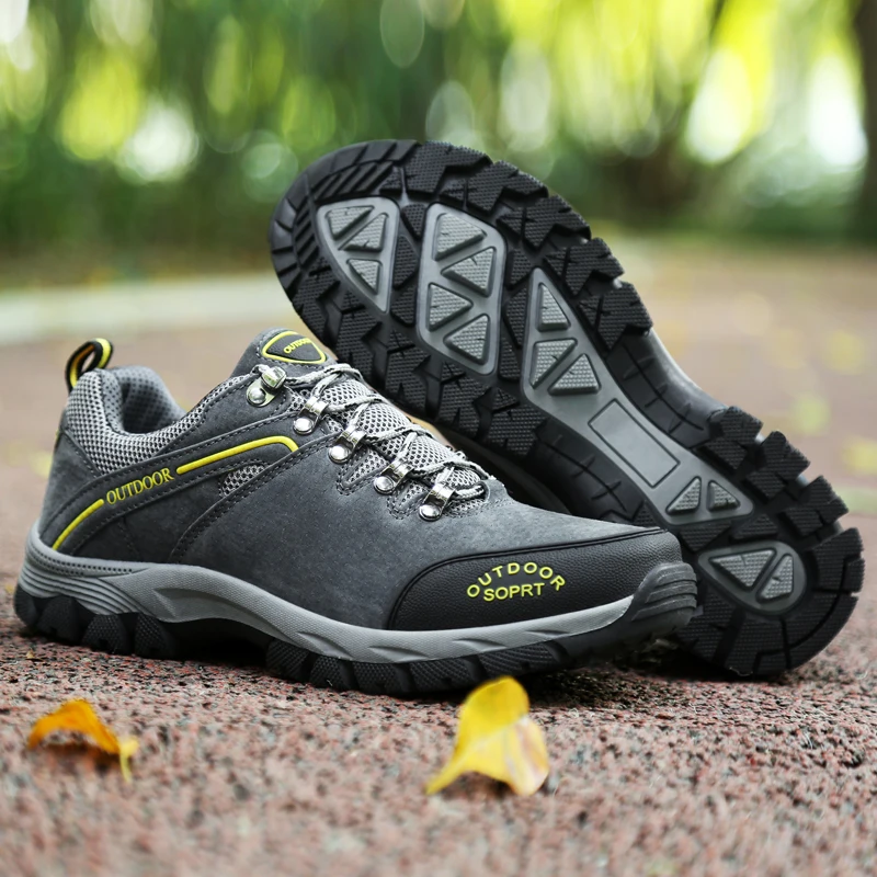 T3_A8238-