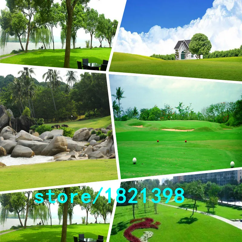 Image 300 pcs lawn Seeds Tall Fescue Grass Low Maintenance,ideal lawn DIY your garden Perennial plant
