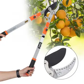 

Telescopic Pruning Garden Shear, Premium Garden Clippers Scissors, Professional Tree Trimmer kitchen birthday party decorations