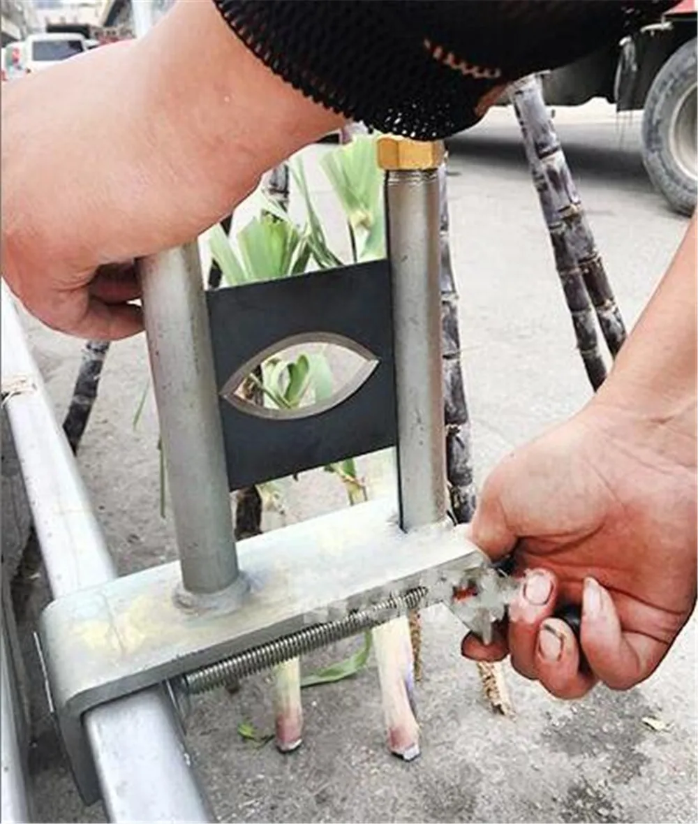 sugarcane peeling machine05