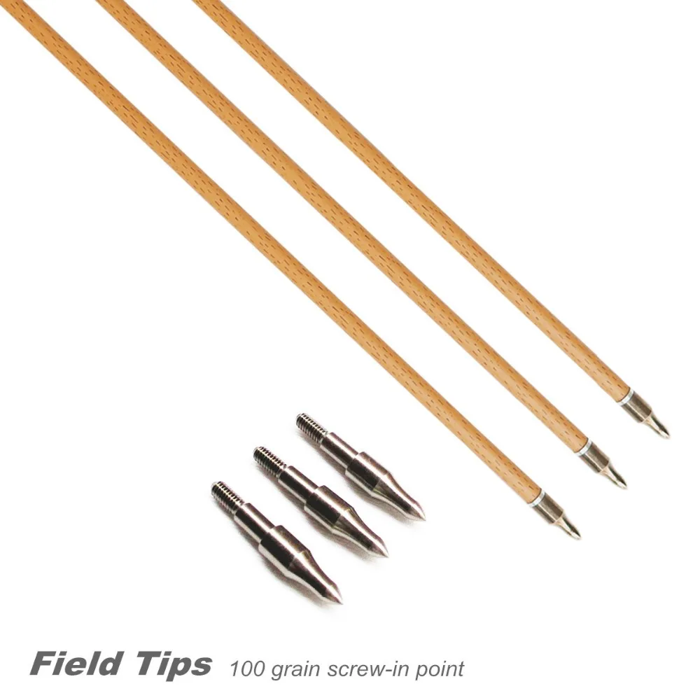 carbon arrows (2)