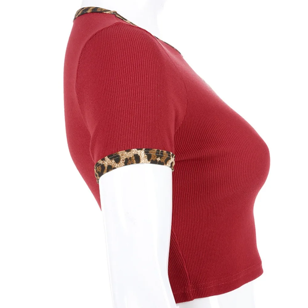 FT (6)