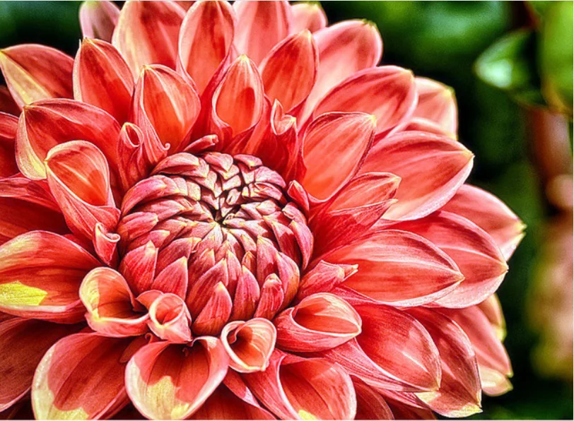 

5D DIY Diamond Painting Painting Dinosaur Sun flower Full circular Diamond Embroidery Cross Stitch Diamond Rhinestone Home decor