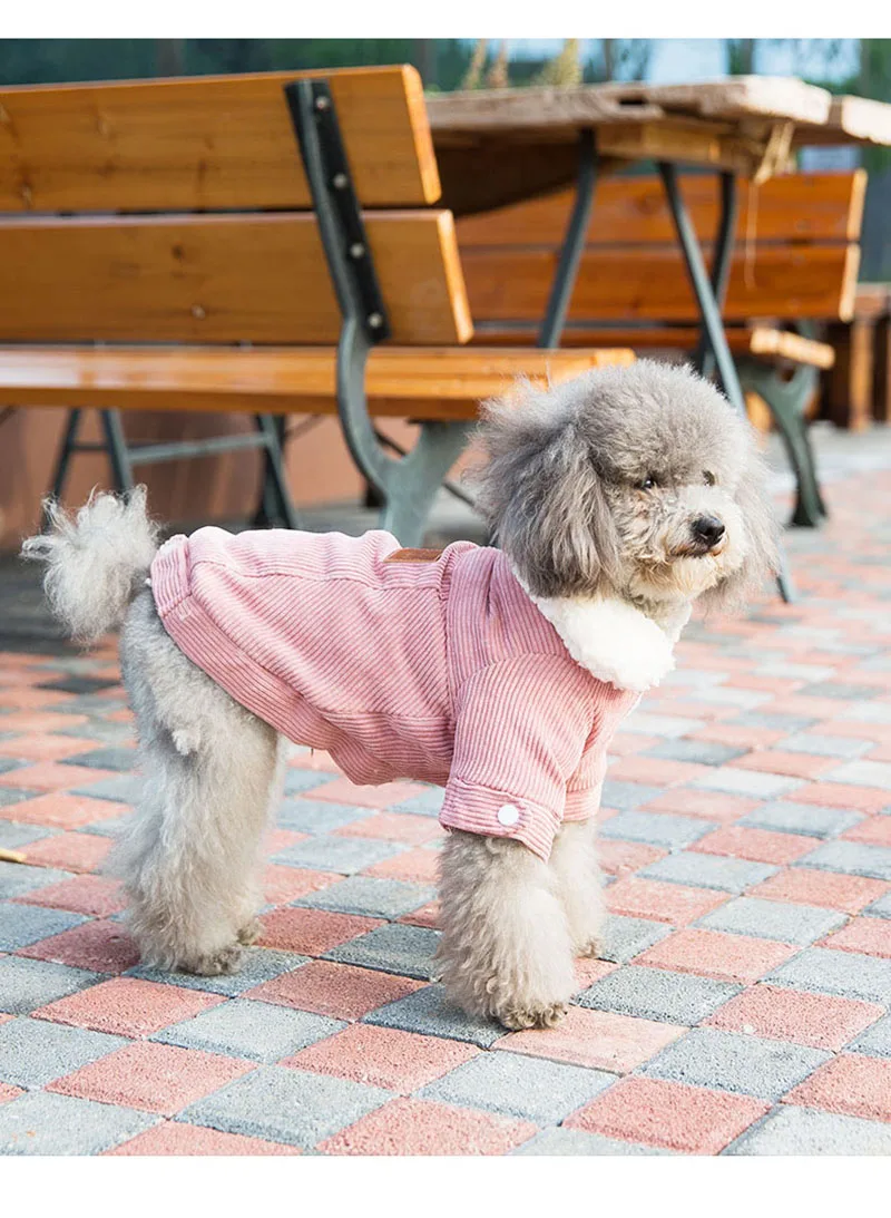 Теплая одежда для собак для маленьких собак, ветрозащитная зимняя куртка для собак, стеганая одежда для щенков, жилет, одежда для Йорка и чихуахуа 35