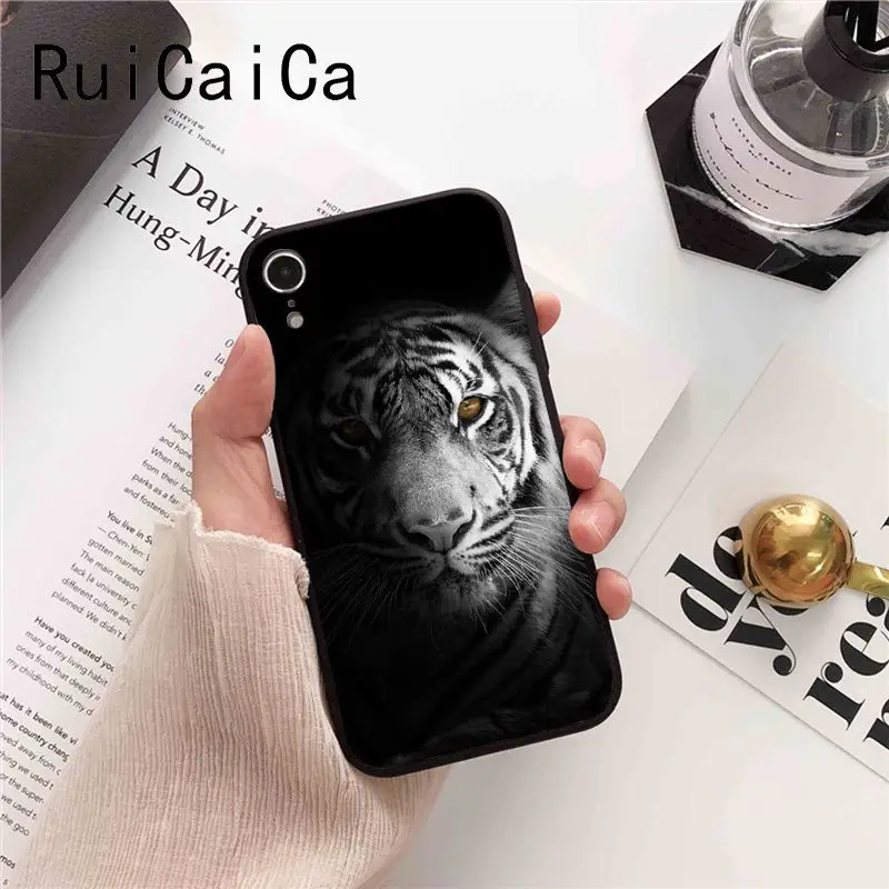 tiger fashion