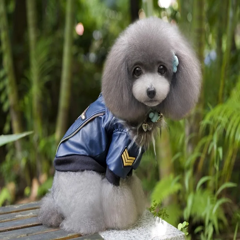 Теплый Собака пальто кожаная куртка меховой жилет пальто в стиле панк плюшевый щенок Толстые собаки щенок Орел Вышивка толстовки Одежда костюм