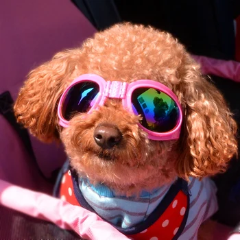 

Small Big Dog Grooming Glasses Anti-sun Fashion Cool Pet Cats Sunglass Accessories For Puppy Animal Chihuahua Yorkshire Supplies