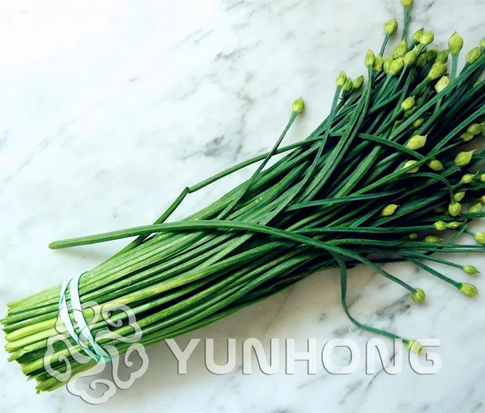 

Chive Bonsai, Allium schoenoprasum,DIY Home Garden Plant vegetables Chive Bonsai, Culinary Herb,Perennial Plant, Spice100PCS