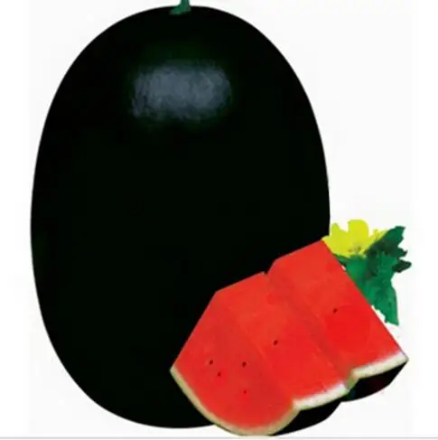 

20 PCS Giant Watermelon plant Black Tyrant King Super Sweet Watermelon Home Gardening