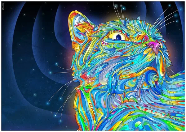 

5D Diamond Painting Cross Stitch Colorful cat Crystal Needlework Embroidery animal Full Decorative