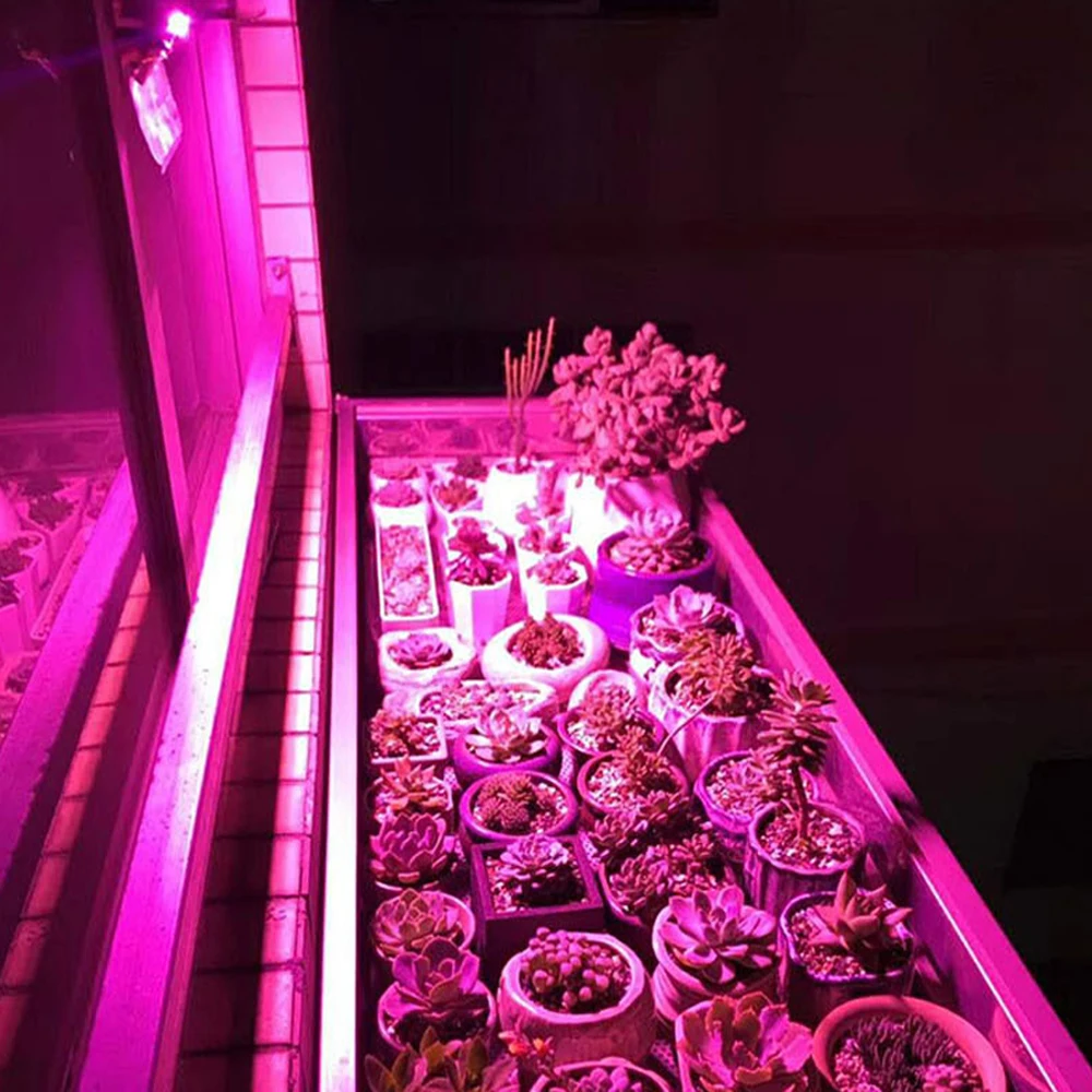 Светодиодный светильник для выращивания полный спектр AC220V 50 Вт 100 Вт IP65 Светодиодный прожектор светильник для овощей комнатные растения парниковые гидропоники