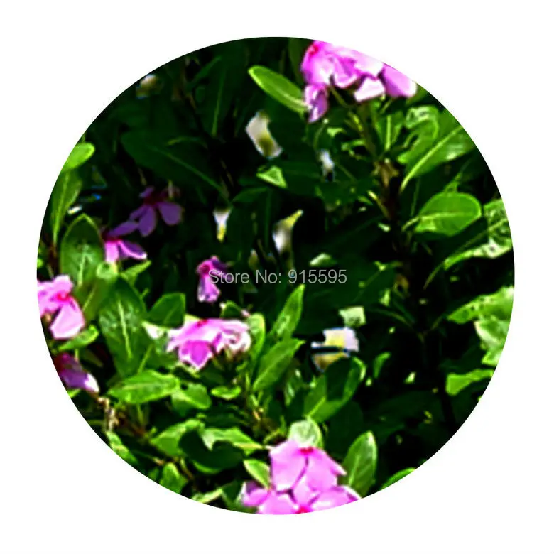 papel de parede em papel de parede para decoração de vaso sanitário banheiro